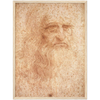 Da Vinci Self Portrait Art Print