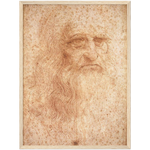 Da Vinci Self Portrait Art Print