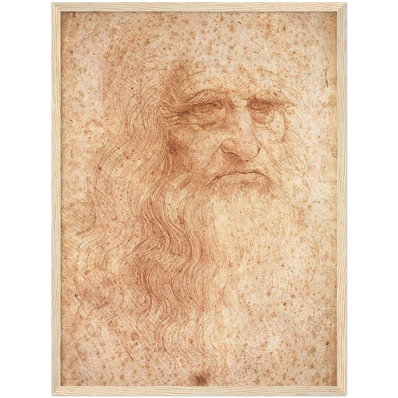 Da Vinci Self Portrait Art Print