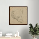 Head of a Bear Art Print by Da Vinci