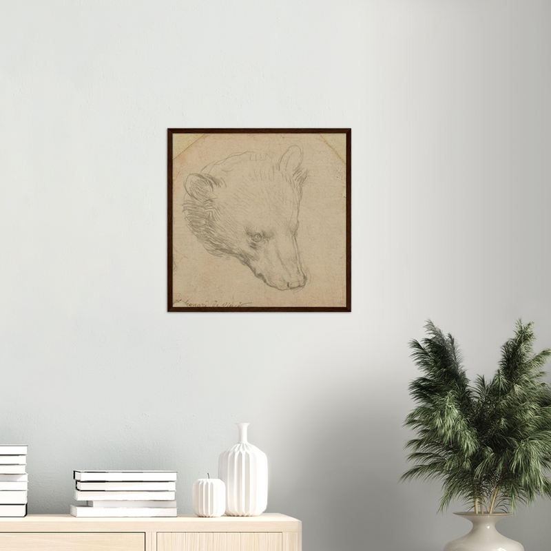 Head of a Bear Art Print by Da Vinci