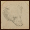 Head of a Bear Art Print by Da Vinci