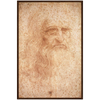 Da Vinci Self Portrait Art Print