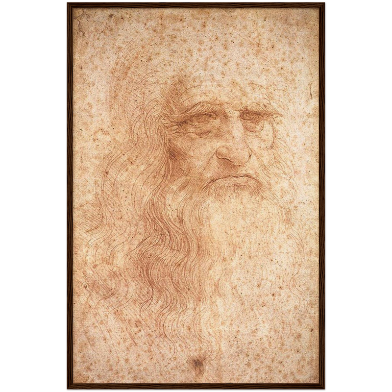 Da Vinci Self Portrait Art Print