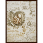 Foetus in the Womb Art Print by Da Vinci