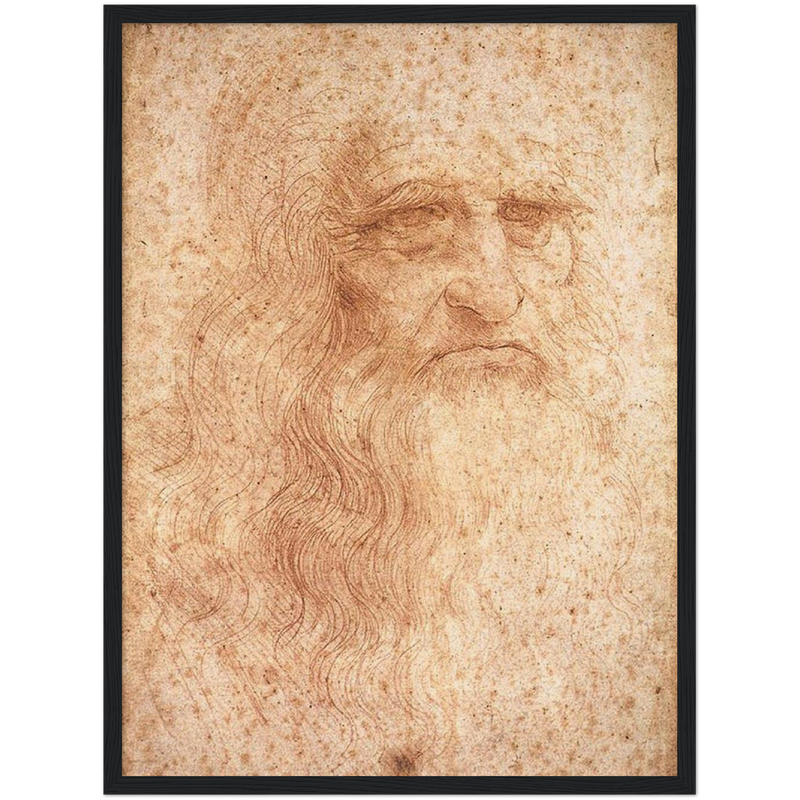 Da Vinci Self Portrait Art Print