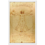 Vitruvian Man Art Print by Da Vinci