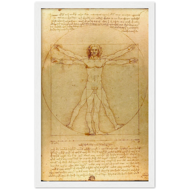 Vitruvian Man Art Print by Da Vinci