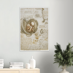 Foetus in the Womb Art Print by Da Vinci