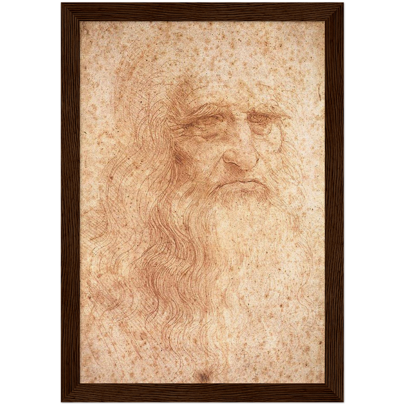 Da Vinci Self Portrait Art Print