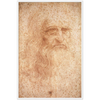 Da Vinci Self Portrait Art Print