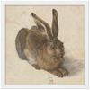 Young Hare Art Print