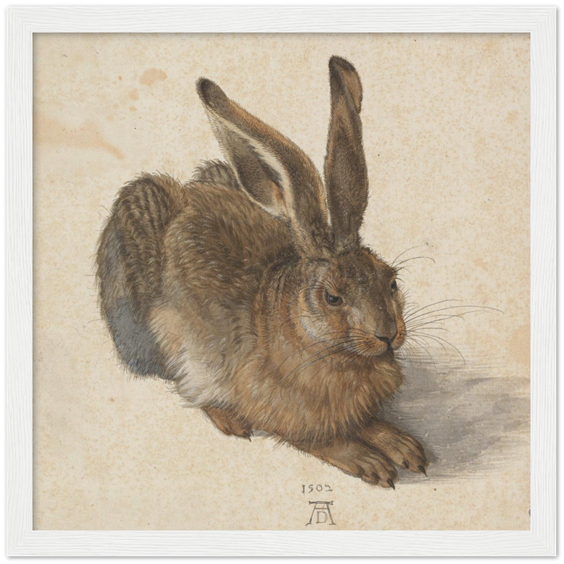 Young Hare Art Print