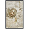 Foetus in the Womb Art Print by Da Vinci