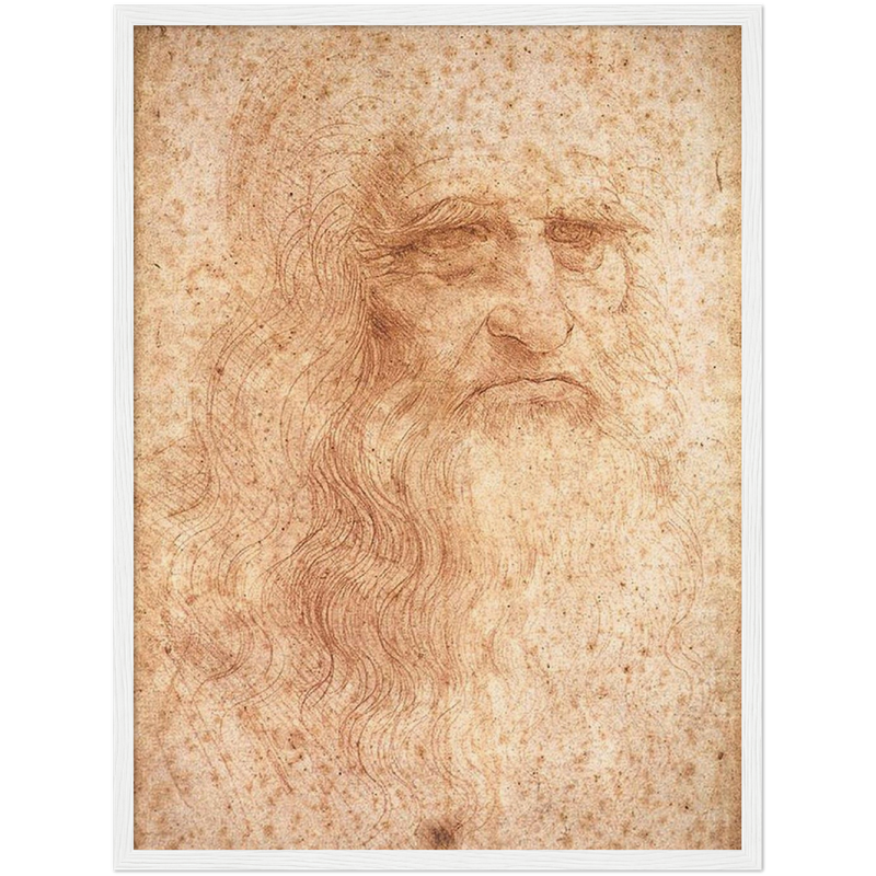 Da Vinci Self Portrait Art Print