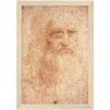 Da Vinci Self Portrait Art Print