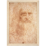 Da Vinci Self Portrait Art Print