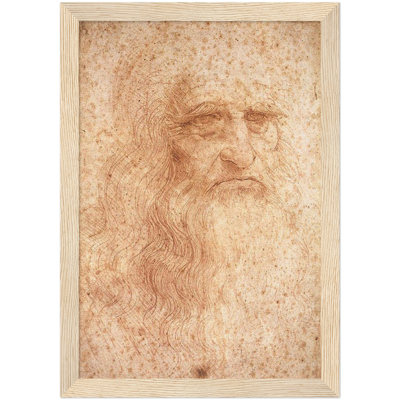 Da Vinci Self Portrait Art Print