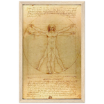 Vitruvian Man Art Print by Da Vinci