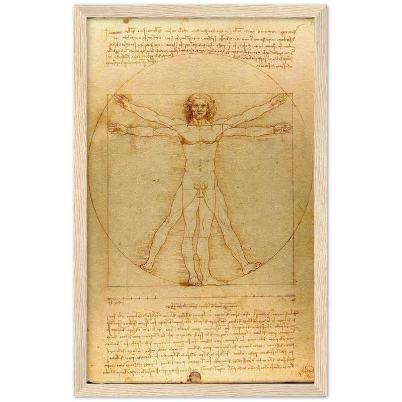 Vitruvian Man Art Print by Da Vinci