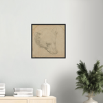 Head of a Bear Art Print by Da Vinci