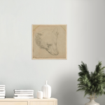 Head of a Bear Art Print by Da Vinci