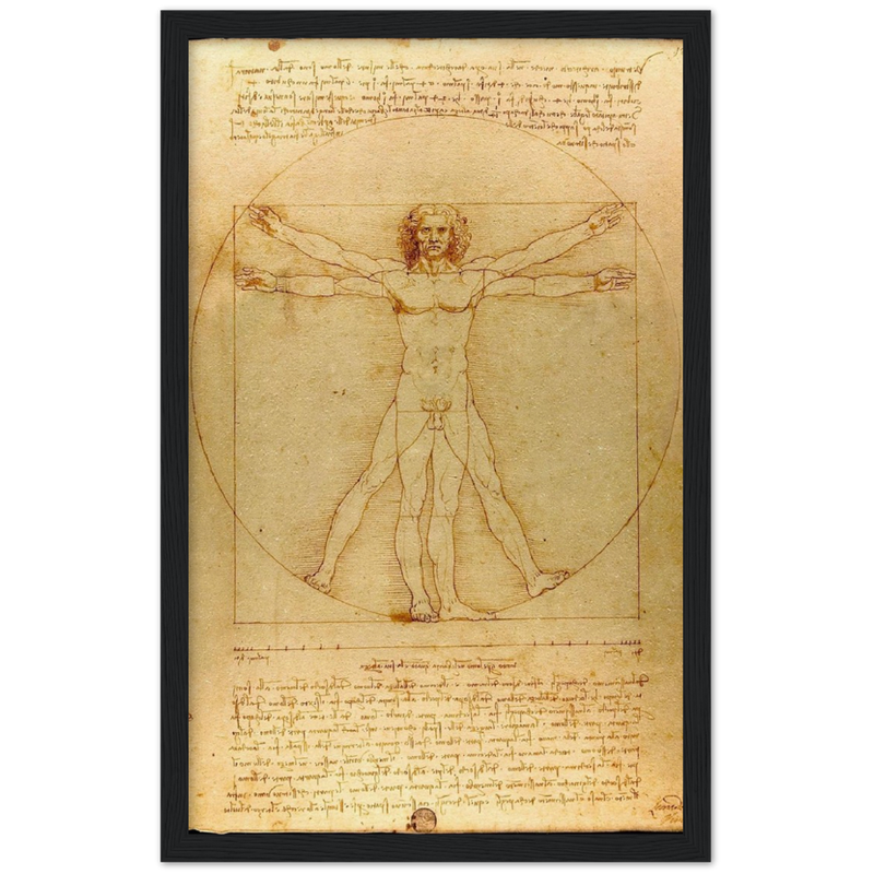 Vitruvian Man Art Print by Da Vinci