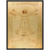 Vitruvian Man Art Print by Da Vinci