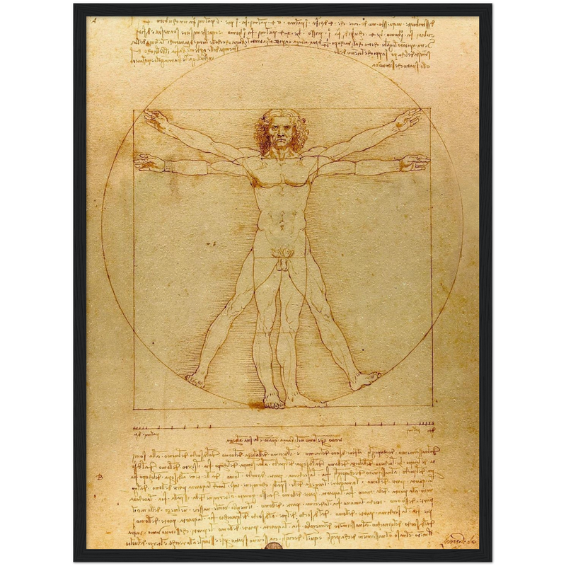 Vitruvian Man Art Print by Da Vinci