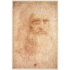 Da Vinci Self Portrait Art Print