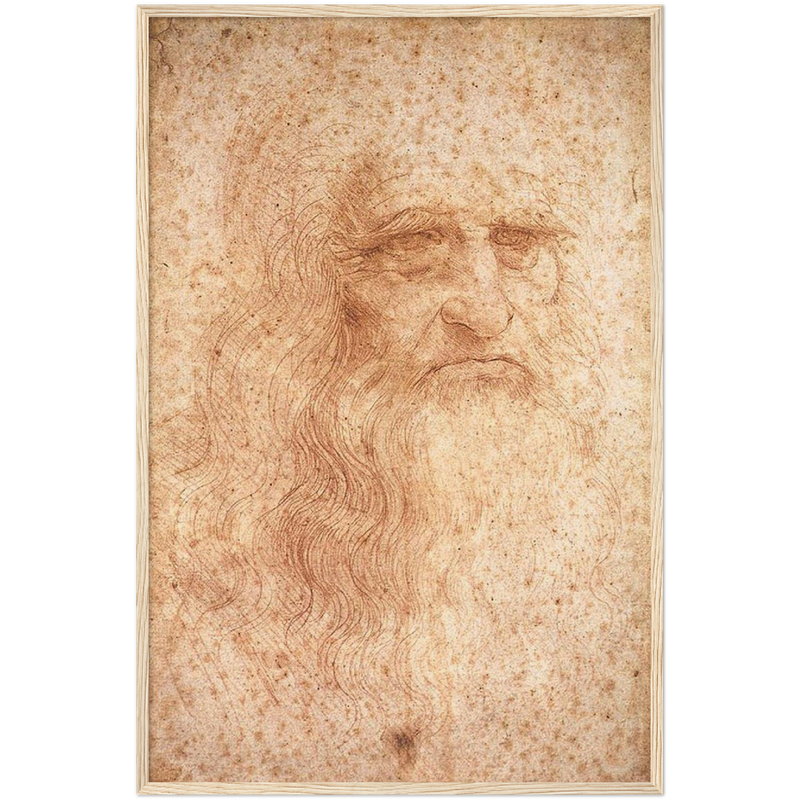 Da Vinci Self Portrait Art Print