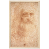 Da Vinci Self Portrait Art Print