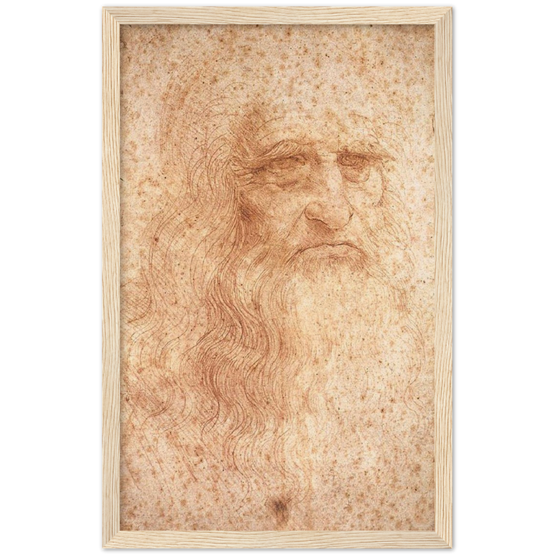 Da Vinci Self Portrait Art Print