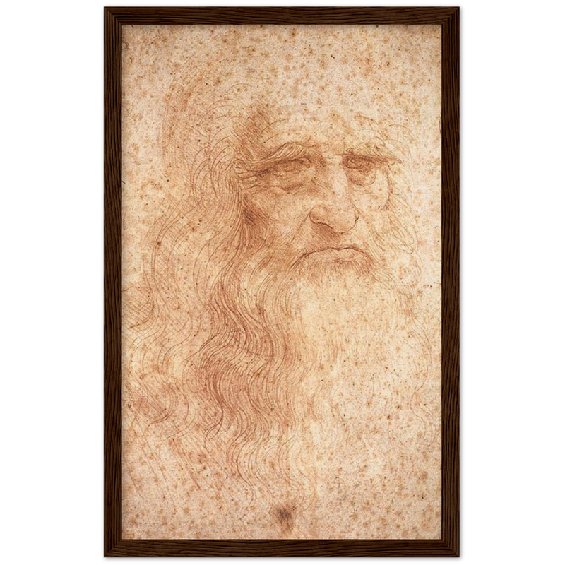 Da Vinci Self Portrait Art Print