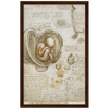 Foetus in the Womb Art Print by Da Vinci