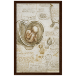 Foetus in the Womb Art Print by Da Vinci